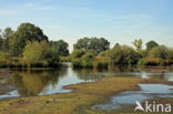 Empese en Tondense Heide