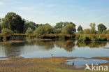 Empese en Tondense Heide