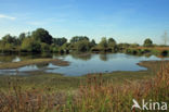 Empese en Tondense Heide