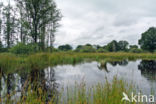 Empese en Tondense Heide