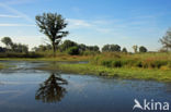 Empese en Tondense Heide