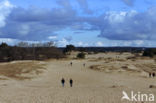 Kootwijkerzand