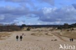 Kootwijkerzand