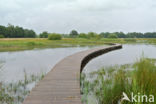 Empese en Tondense Heide