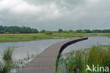 Empese en Tondense Heide