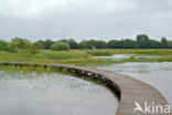 Empese en Tondense Heide