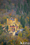 Schloss Hohenschwangau