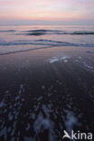 Katwijk aan zee