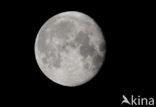astrofotography