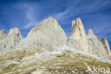 Tre Cime di Lavaredo