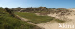 dune valley