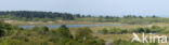 Nationaal park Schiermonnikoog