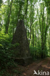 Dadoxylon schrollianum