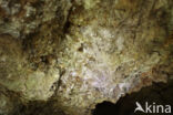 cave