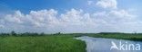 National Park Schiermonnikoog