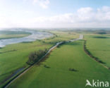 Lower Rhine