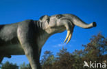 Deinotherium (extinct)
