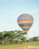 Masai Mara National Park