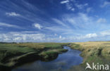 Nationaal Park Duinen van Texel 