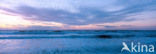 Waddenzee