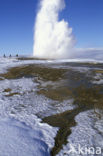 Geysir