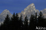 Grand Teton National Park