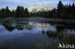 Grand Teton National Park