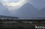 Grand Teton National Park