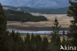 Grand Teton National Park