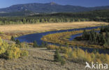 Grand Teton National Park