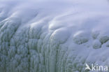 Gullfoss waterfall