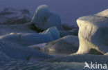 Jokulsarlon