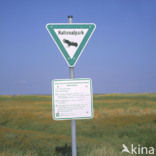 Nationalpark Schleswig-Holsteinisches Wattenmeer