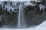 Seljalandsfoss