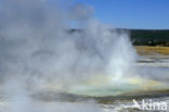 Yellowstone national park