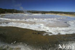 Yellowstone national park