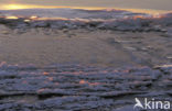 Markermeer