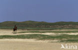 National Park Duinen van Texel 