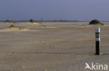 Nationaal Park Duinen van Texel