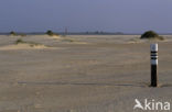 Nationaal Park Duinen van Texel