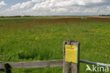 National Park Weerribben-Wieden