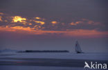 Veluwemeer