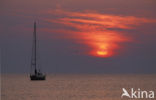 Waddenzee