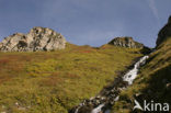 Grossglockner