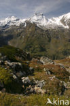 Grossglockner