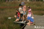 Nationaal Park Dwingelderveld