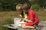 Nationaal Park Dwingelderveld