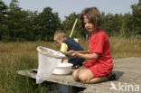 Nationaal Park Dwingelderveld