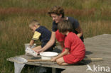 Nationaal Park Dwingelderveld