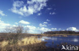 Nationaal Park Dwingelderveld